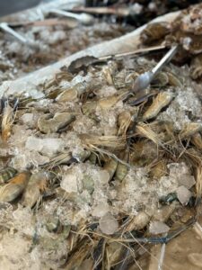 ซามูไรหมูกระทะ A&A แม่โจ้ หน้าตาอาหาร เครื่องดื่ม และของหวาน 18 อาหารทะเล