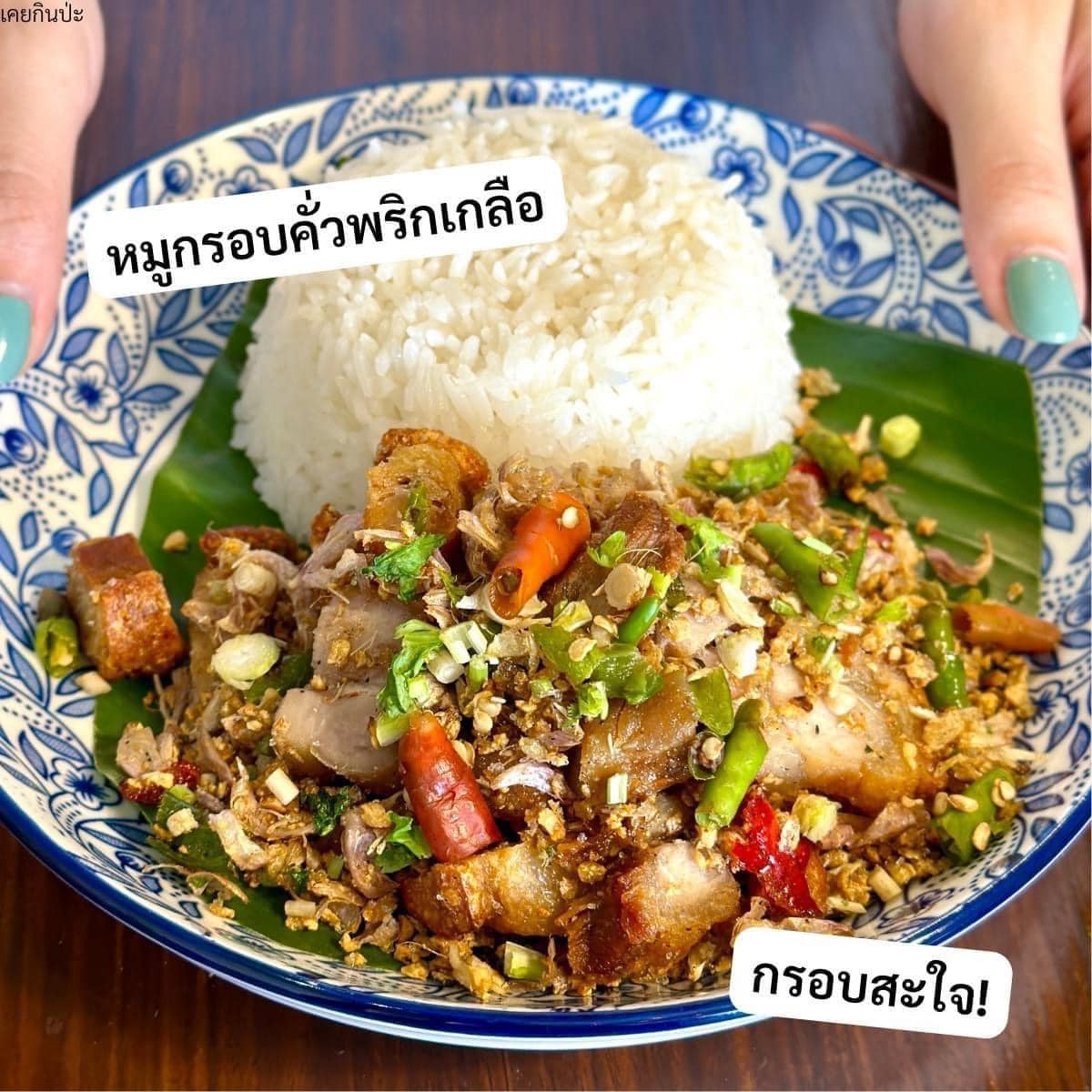 อร่อยเฉย กะเพราถาด ลาดพร้าววังหิน อาหารตามสั่ง ลาดพร้าววังหิน 4