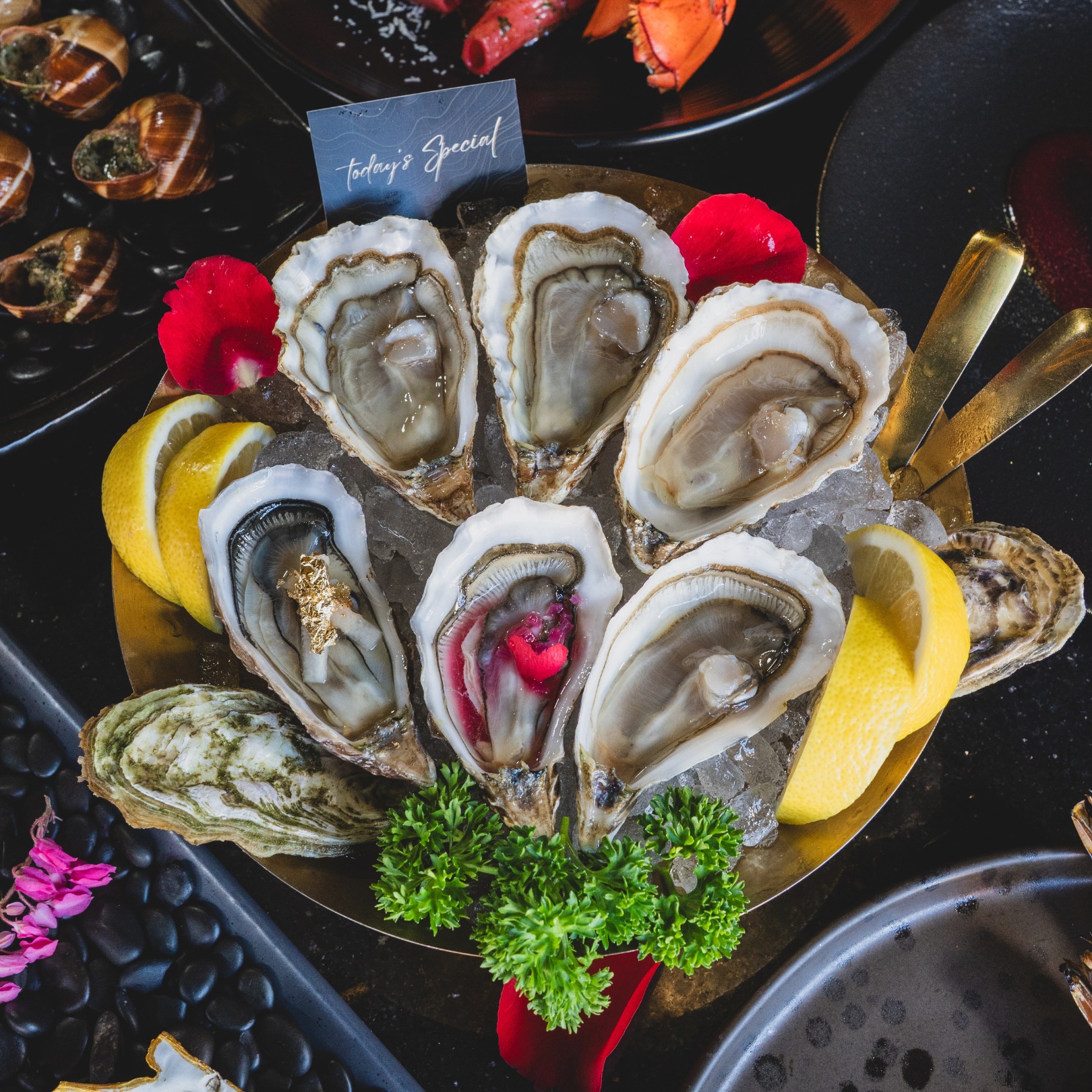 The Oyster bar x Samui ร้านอาหารทะเล สมุย 3