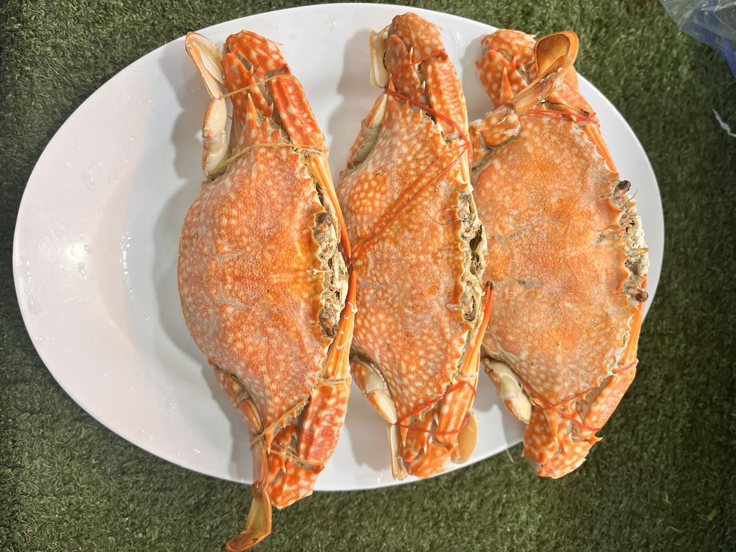 ร้านหอยกะแดะซีฟู๊ด ร้านอาหารทะเล สุราษฎร์ธานี 6