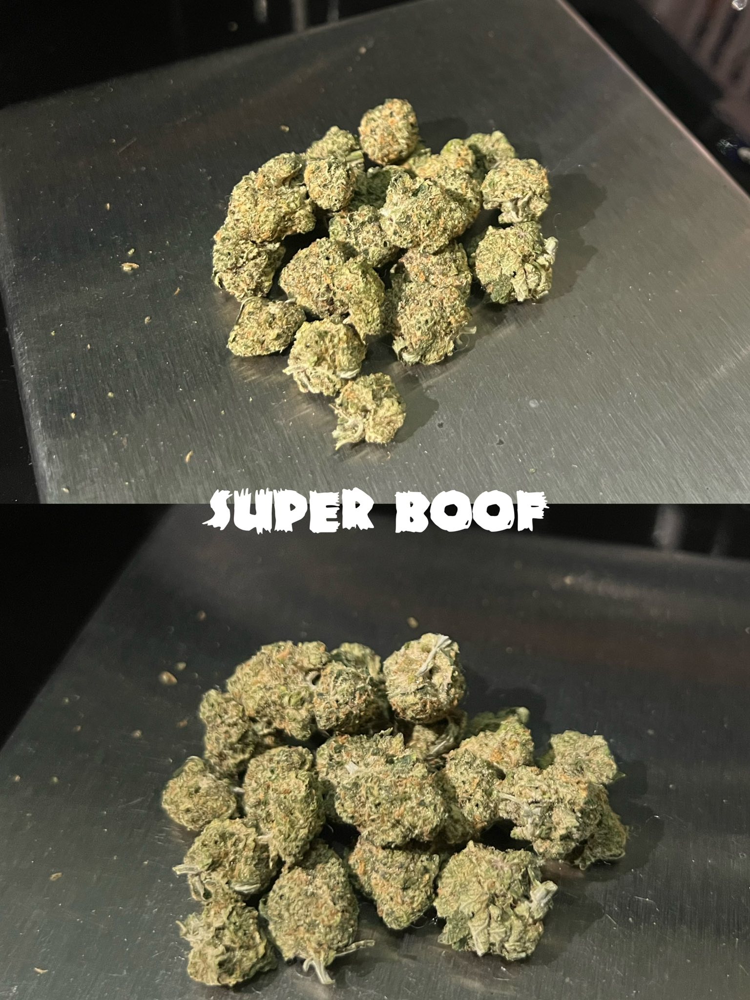 Eden Dispensary ร้านกัญชา 4