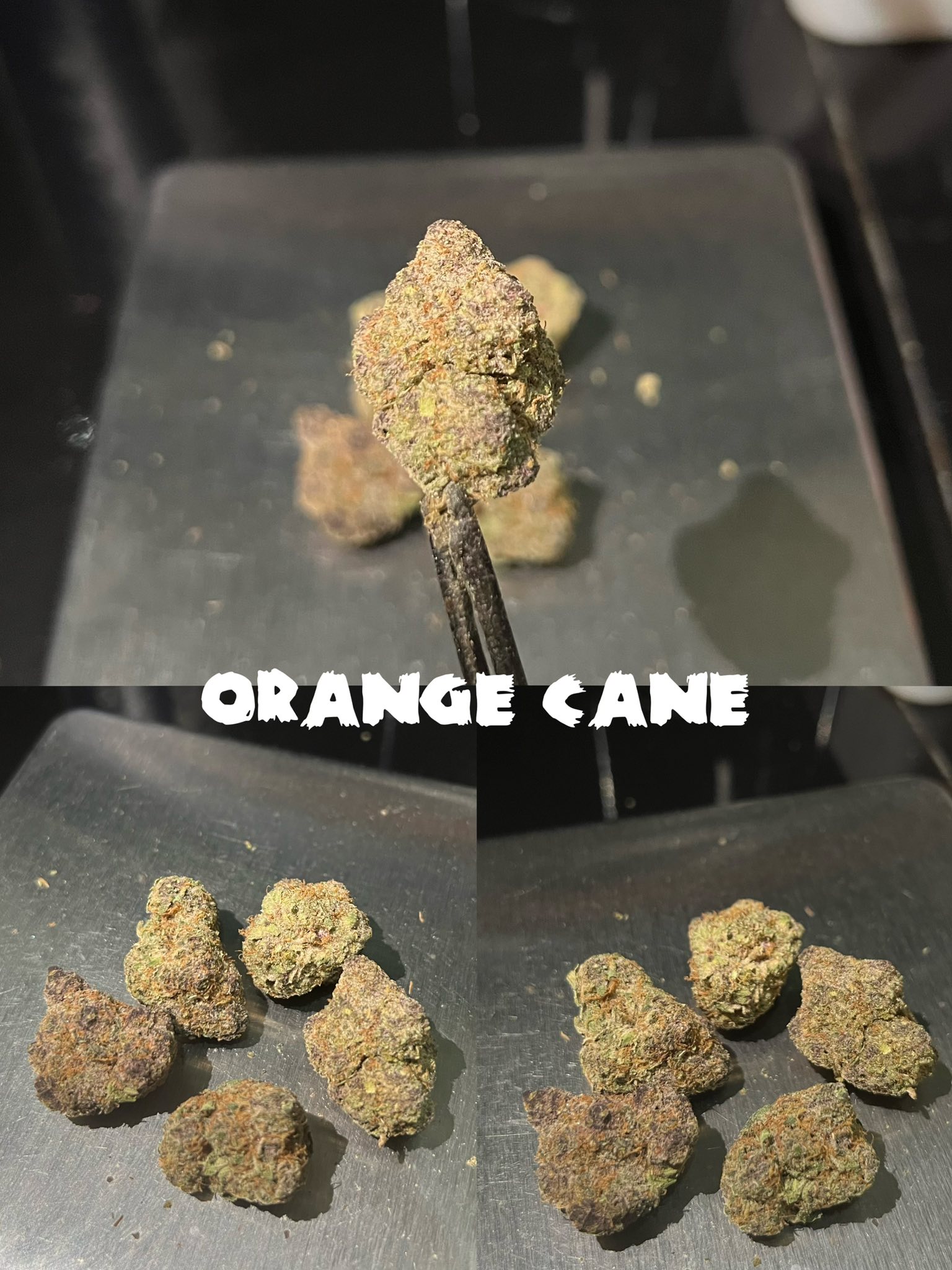 Eden Dispensary ร้านกัญชา 5