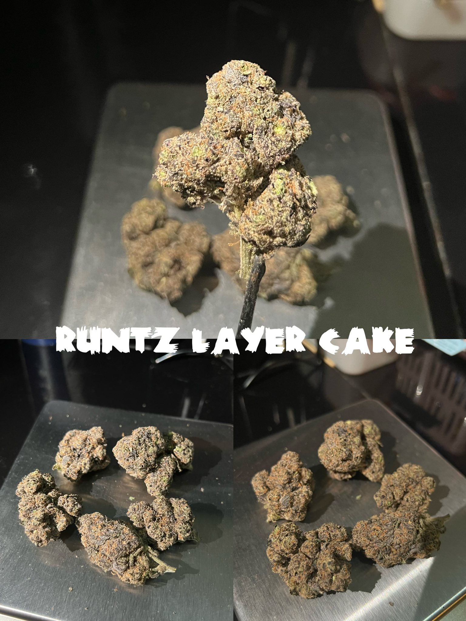 Eden Dispensary ร้านกัญชา 6