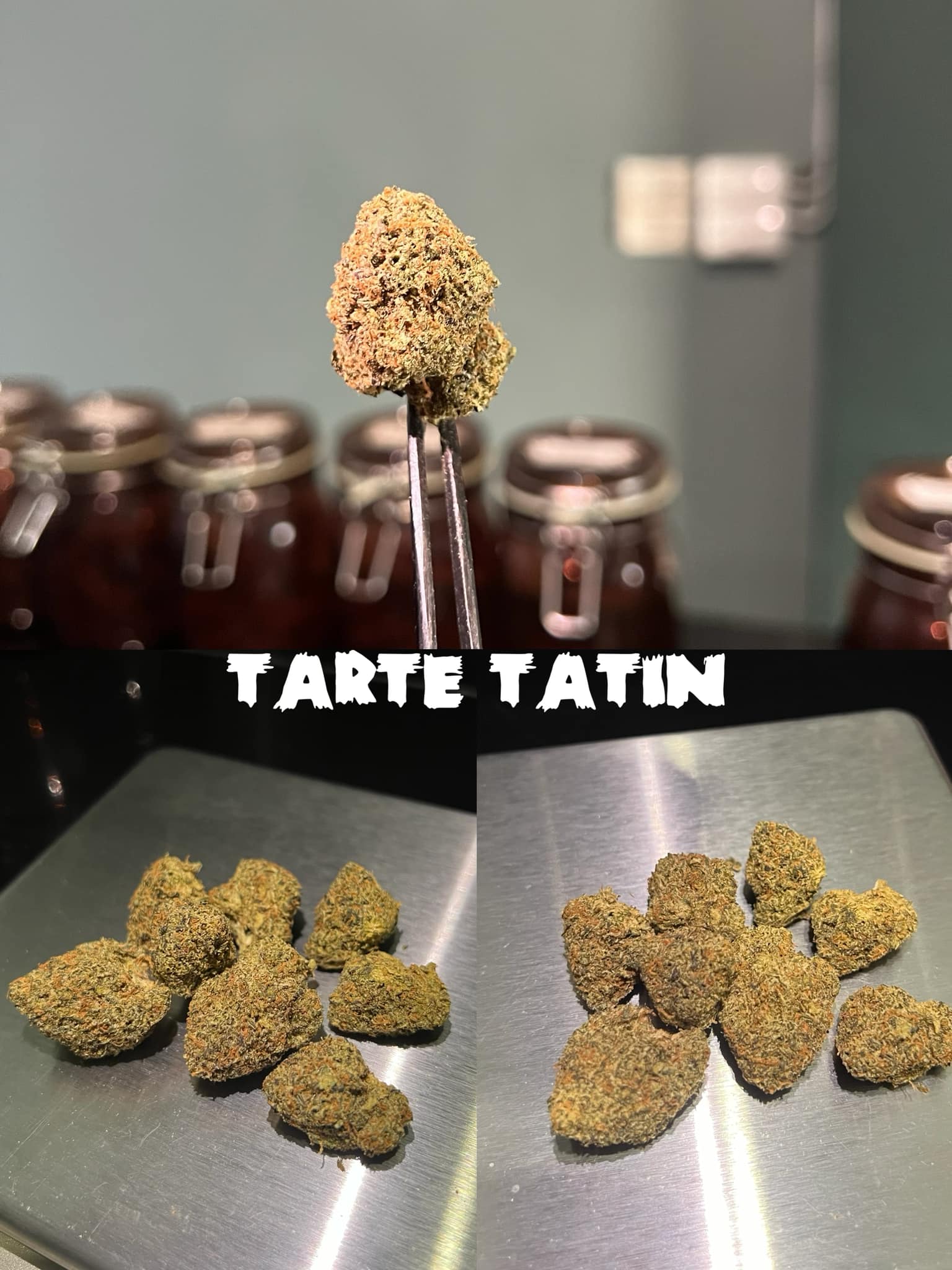 Eden Dispensary ร้านกัญชา 7