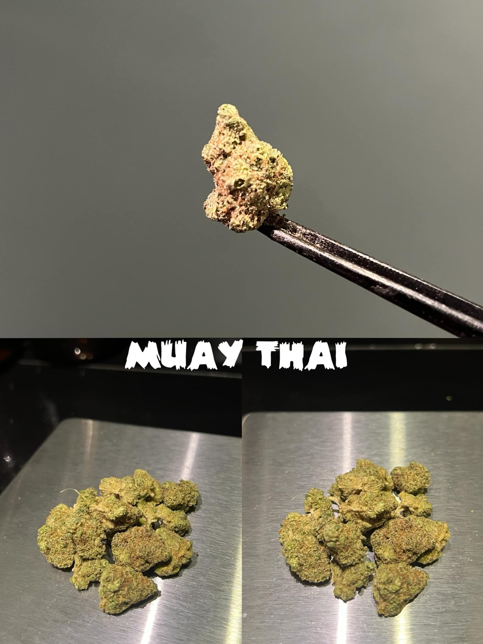 Eden Dispensary ร้านกัญชา 8