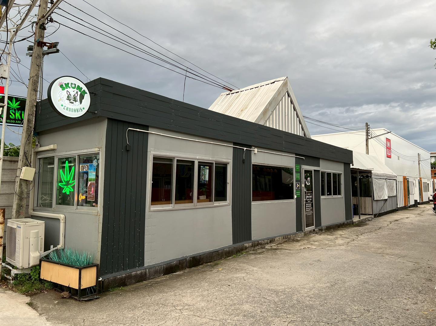 King Skunk Dispensary ร้านกัญชา 1