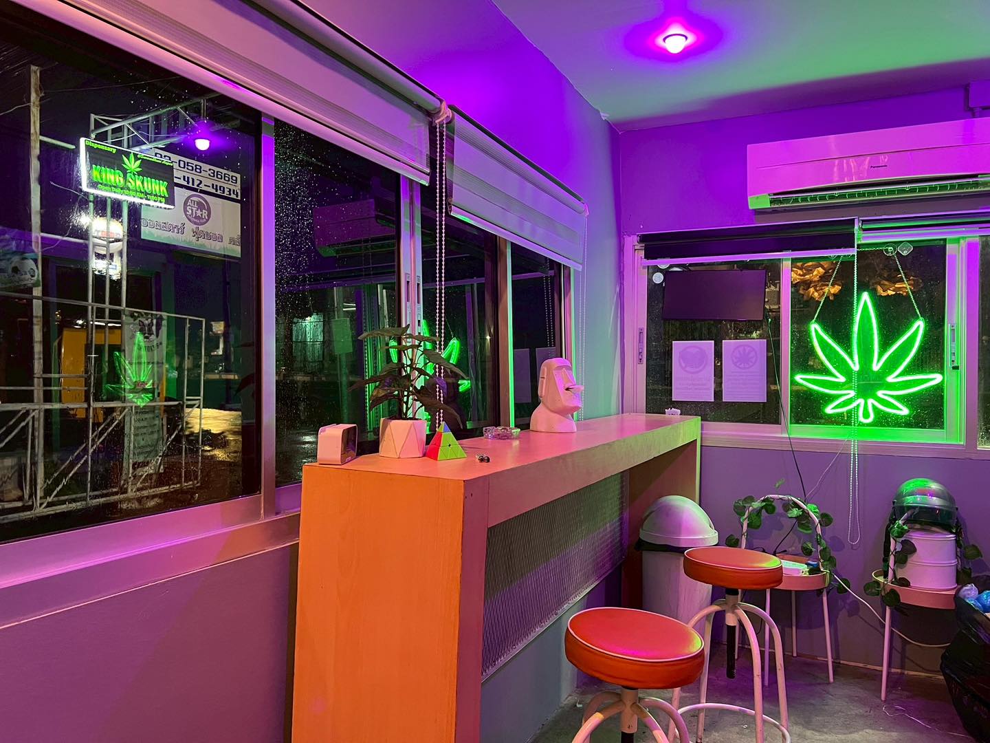 King Skunk Dispensary ร้านกัญชา 2