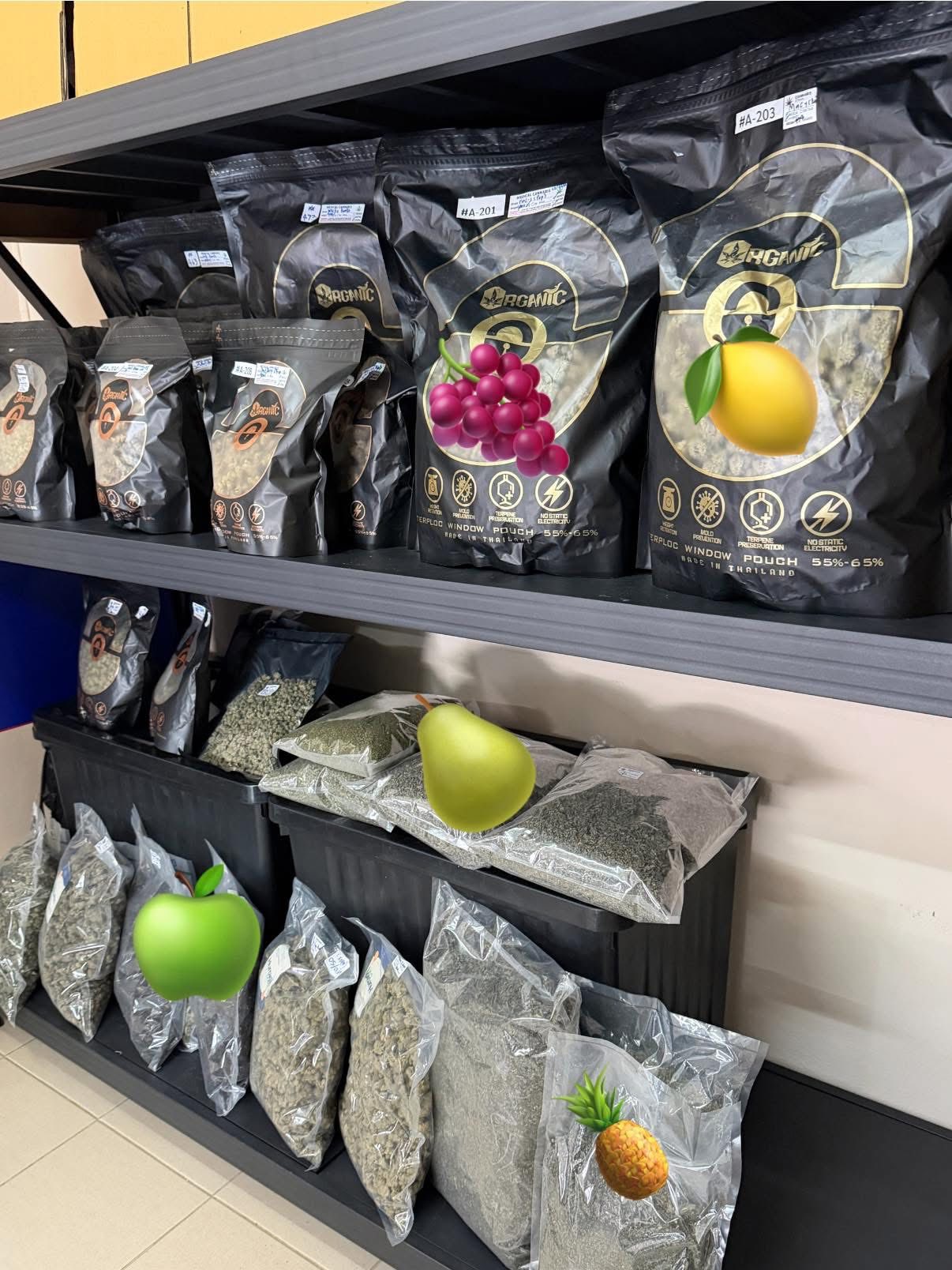 King Skunk Dispensary ร้านกัญชา 4