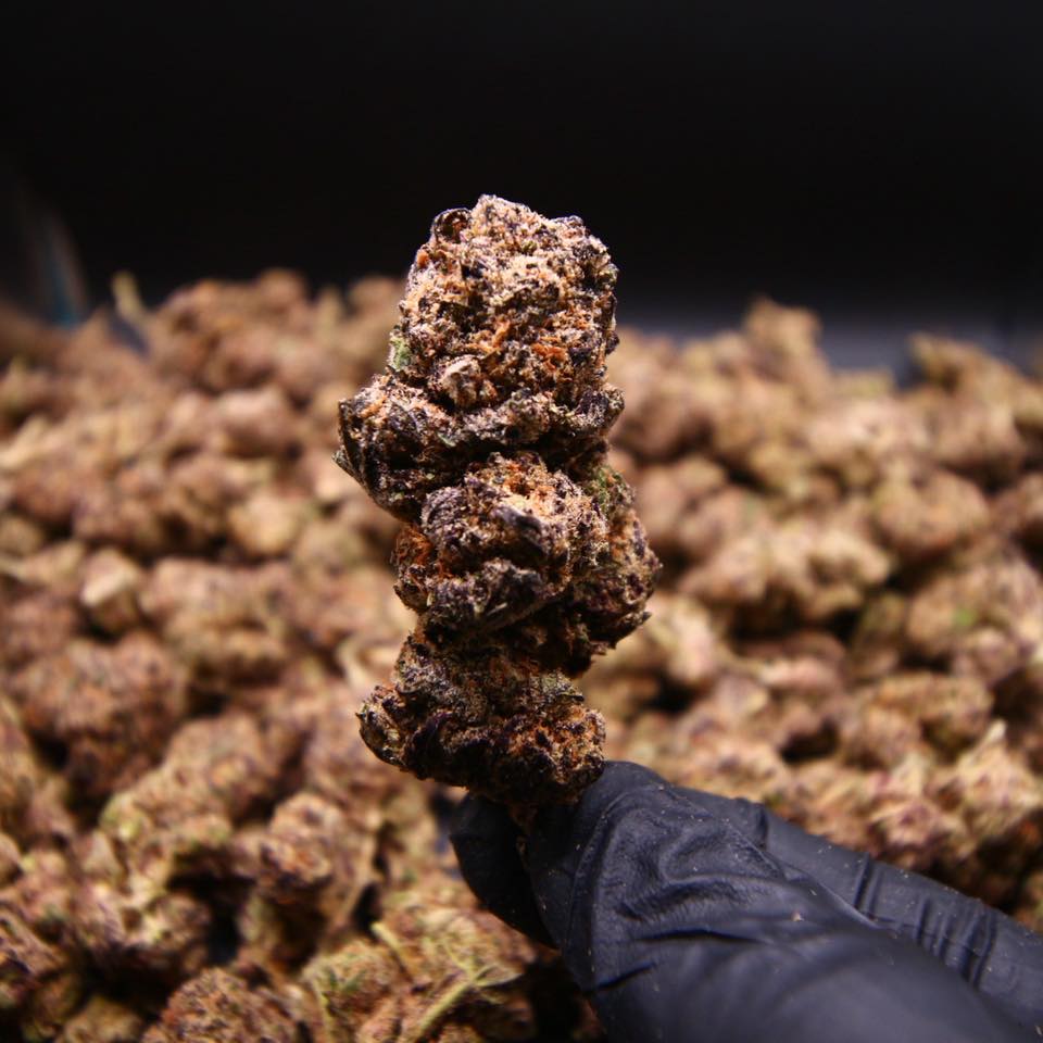 King Skunk Dispensary ร้านกัญชา 5