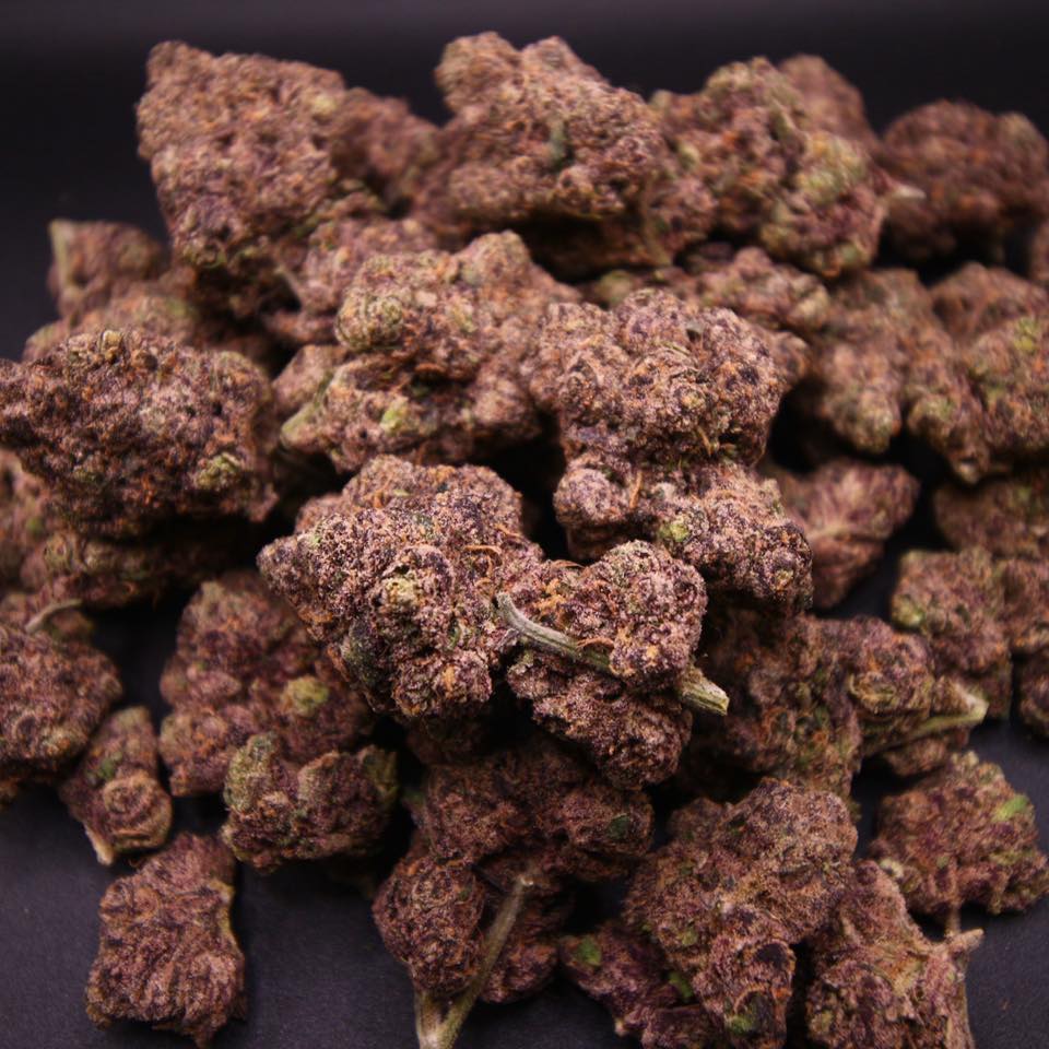 King Skunk Dispensary ร้านกัญชา 6