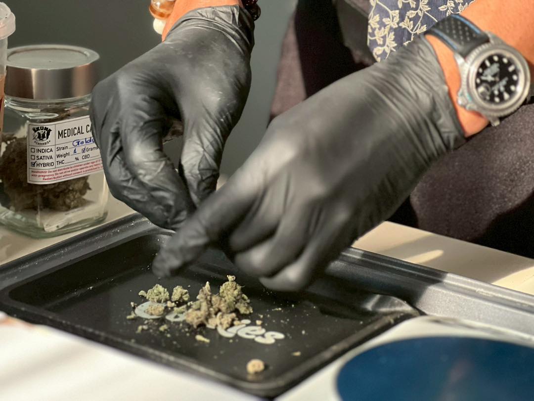 King Skunk Dispensary ร้านกัญชา 7