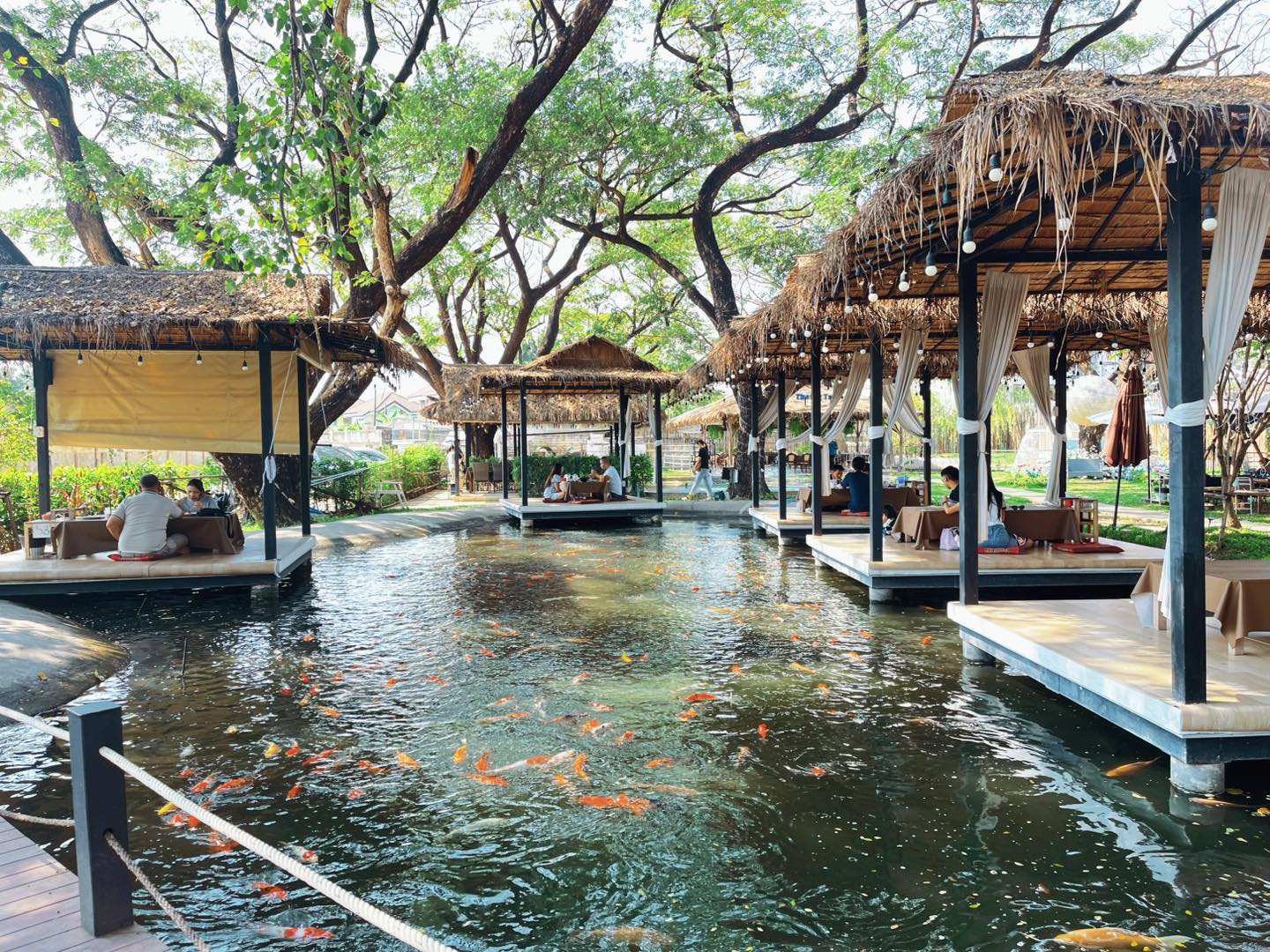 The Big Tree Café ร้านอาหาร ท่าอิฐ 1