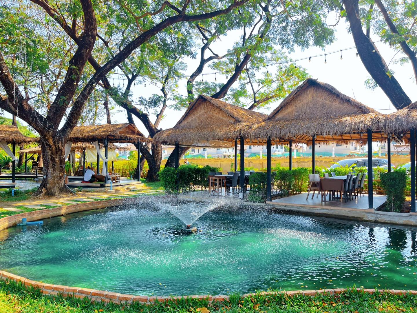 The Big Tree Café ร้านอาหาร ท่าอิฐ 2