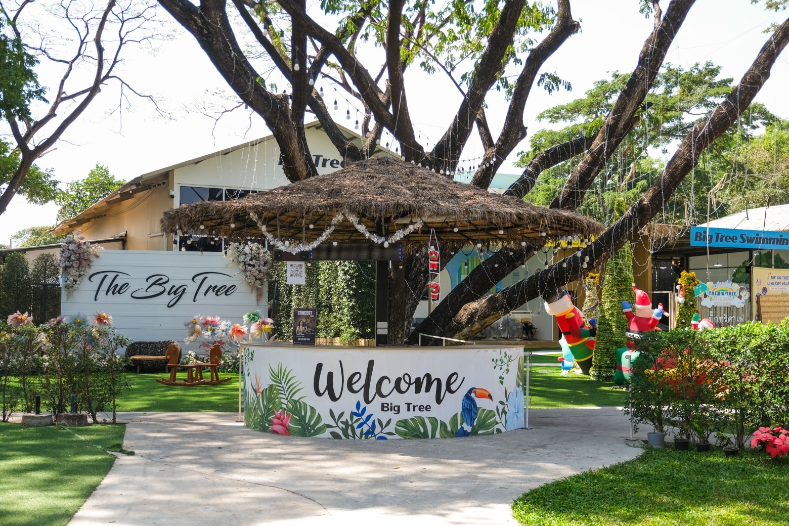 The Big Tree Café ร้านอาหาร ท่าอิฐ 3