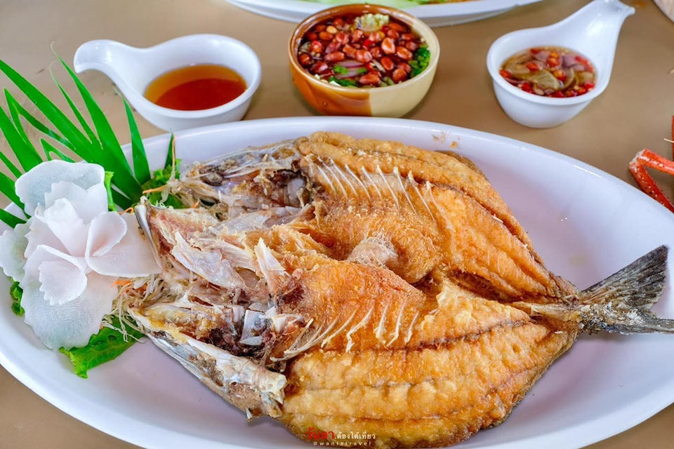 The Big Tree Café ร้านอาหาร ท่าอิฐ 5