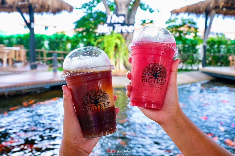 The Big Tree Café ร้านอาหาร ท่าอิฐ 8