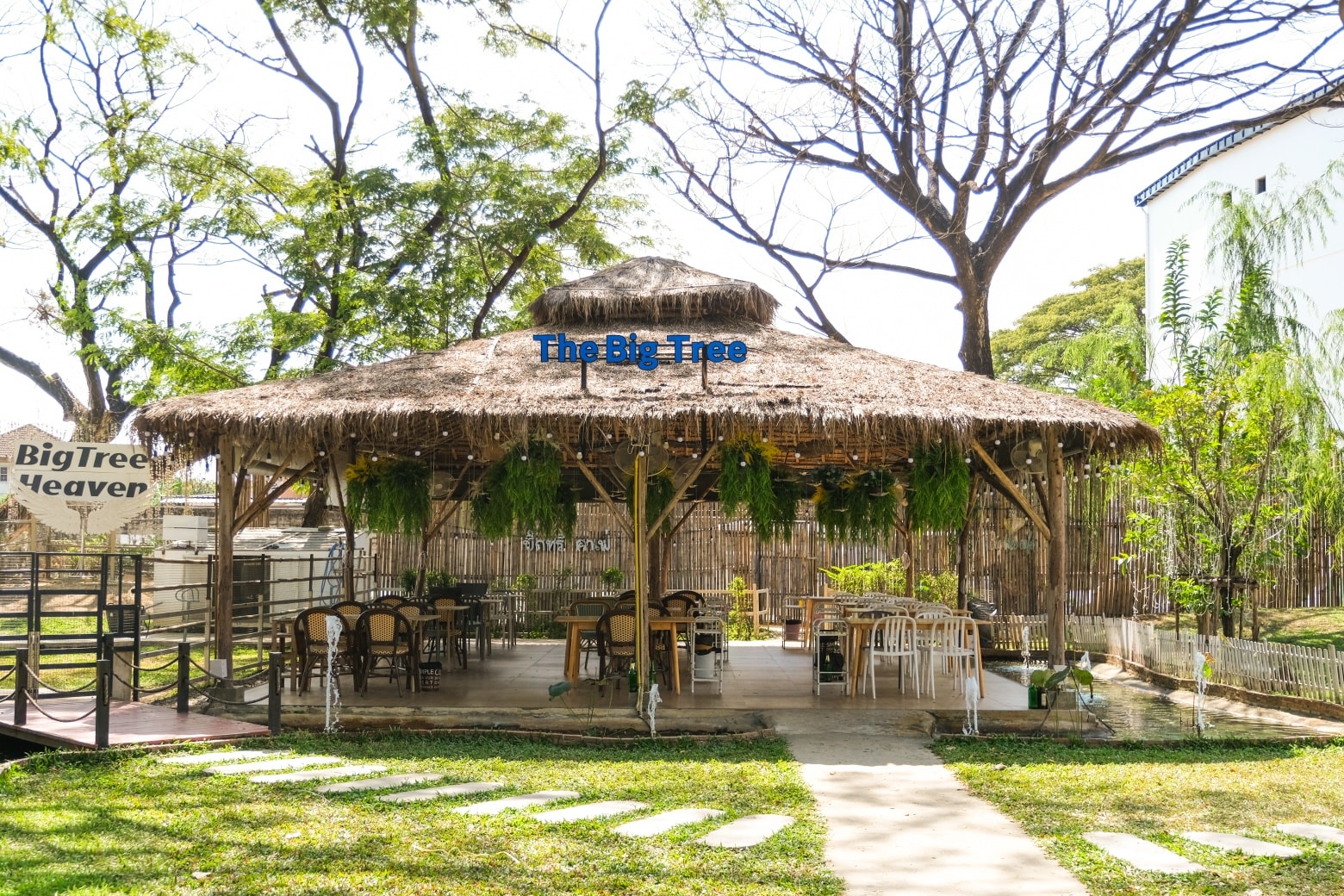 The Big Tree Café ร้านอาหาร นนทบุรี 1