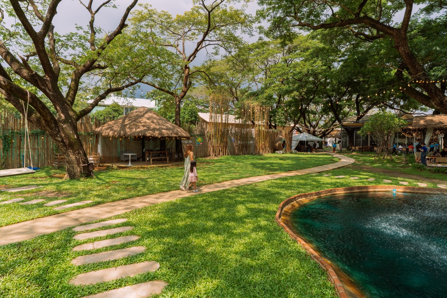 The Big Tree Café ร้านอาหาร นนทบุรี 2