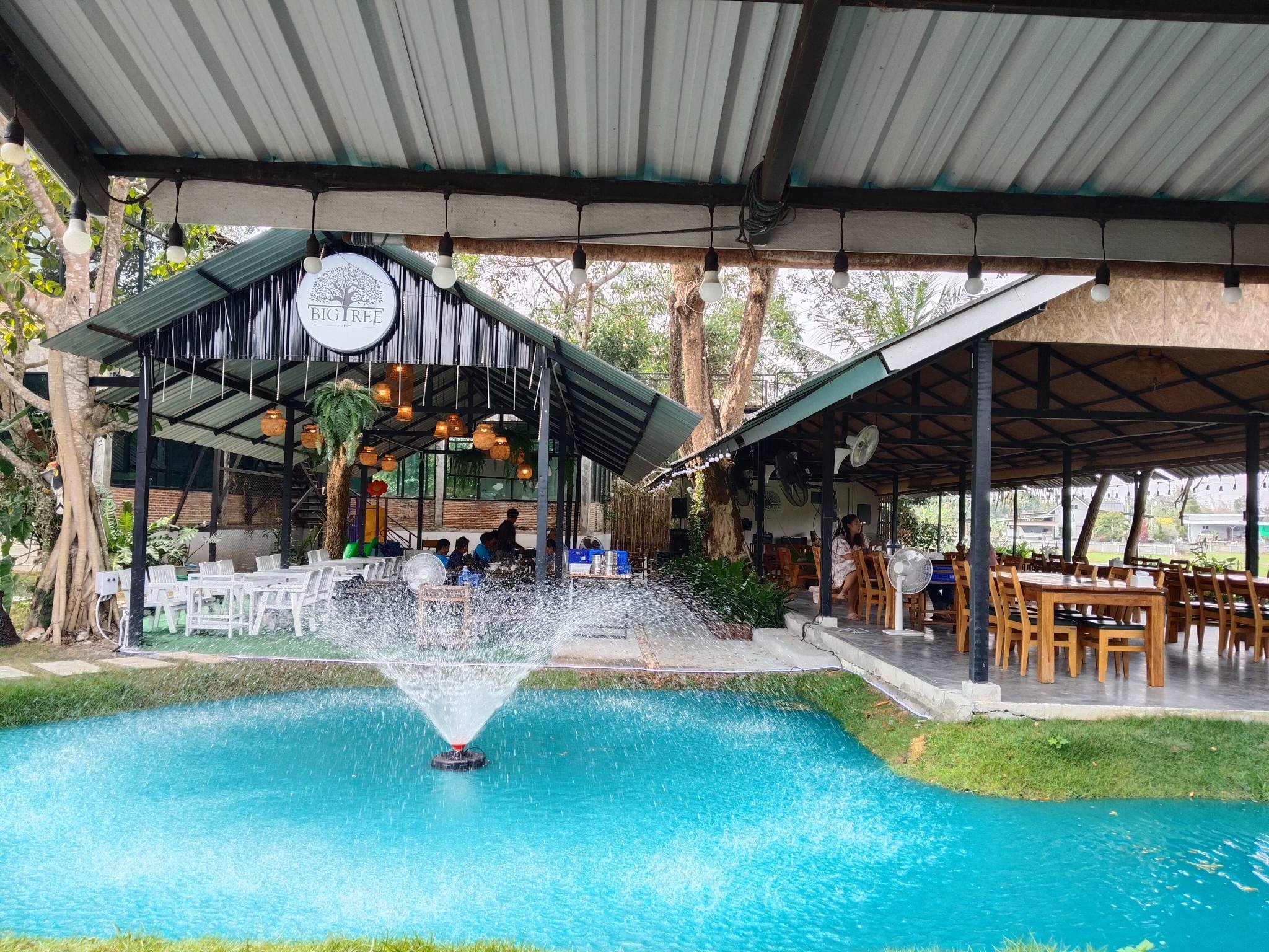 The Big Tree ระยอง ร้านอาหาร ระยอง 3