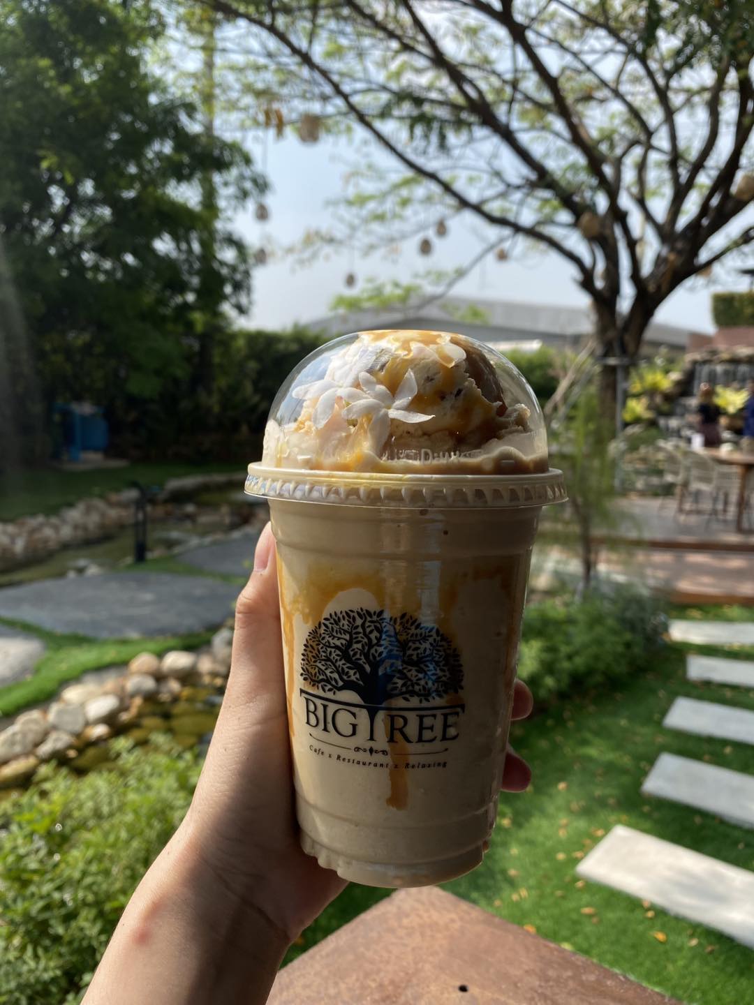 The Big Tree รังสิต คาเฟ่ คลองหลวง 3