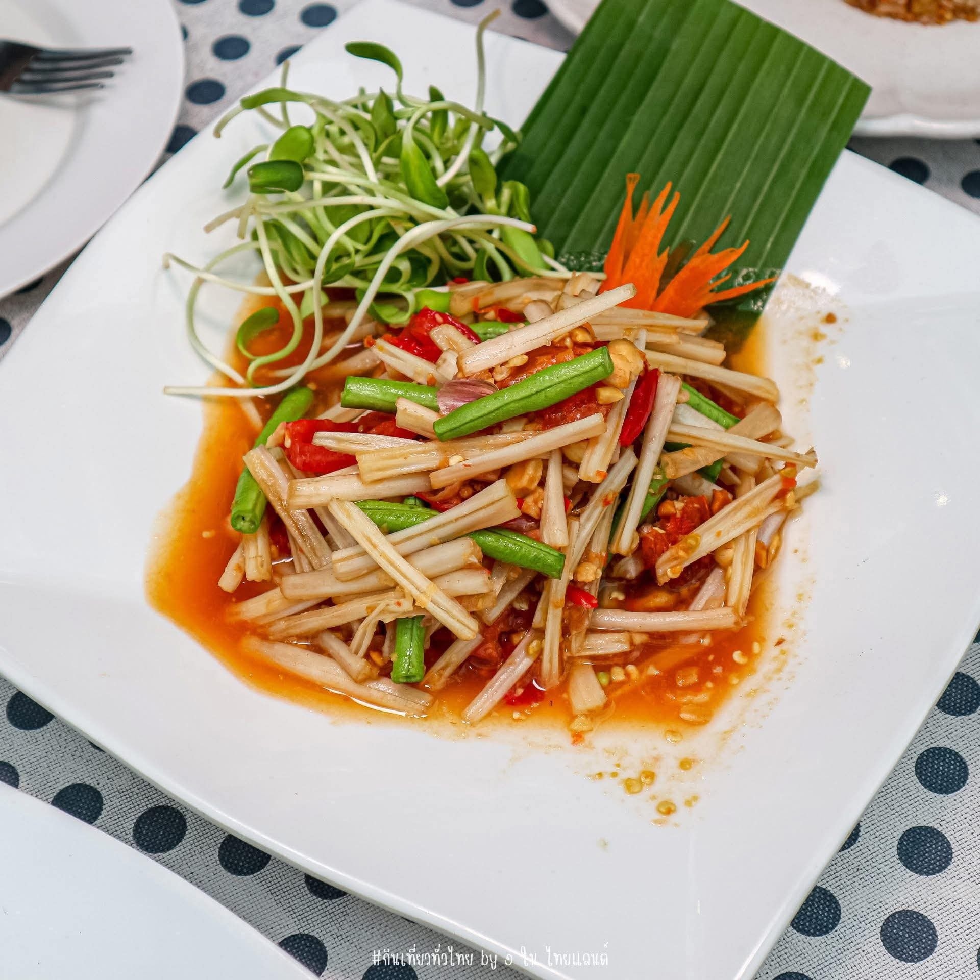 ทรีแมงโก้ บ้านไทย ชายคลอง ร้านอาหาร นนทบุรี 5