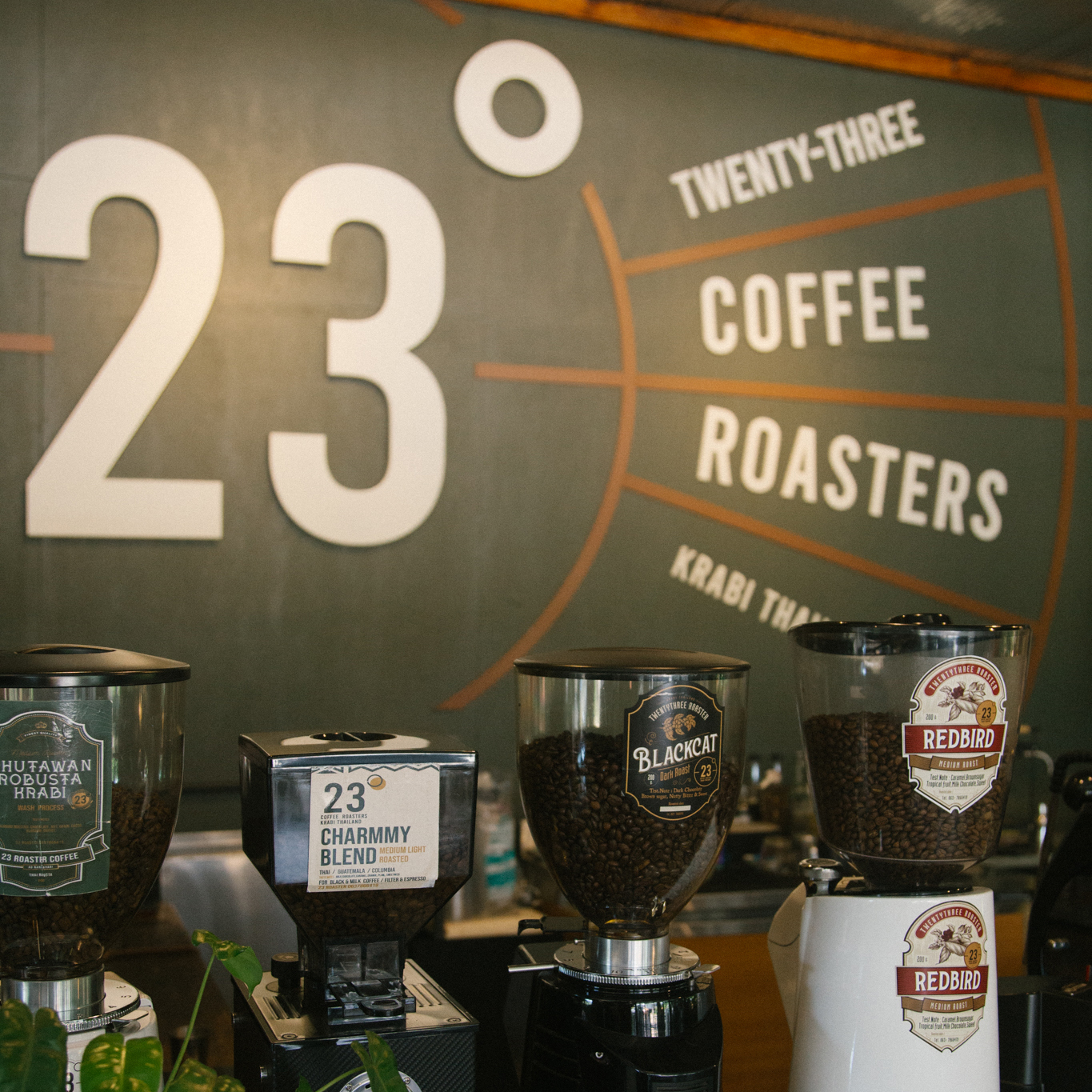 โรงคั่วกาแฟ23 Roasters Krabi Cafe ร้านกาแฟ อ่าวนาง 3