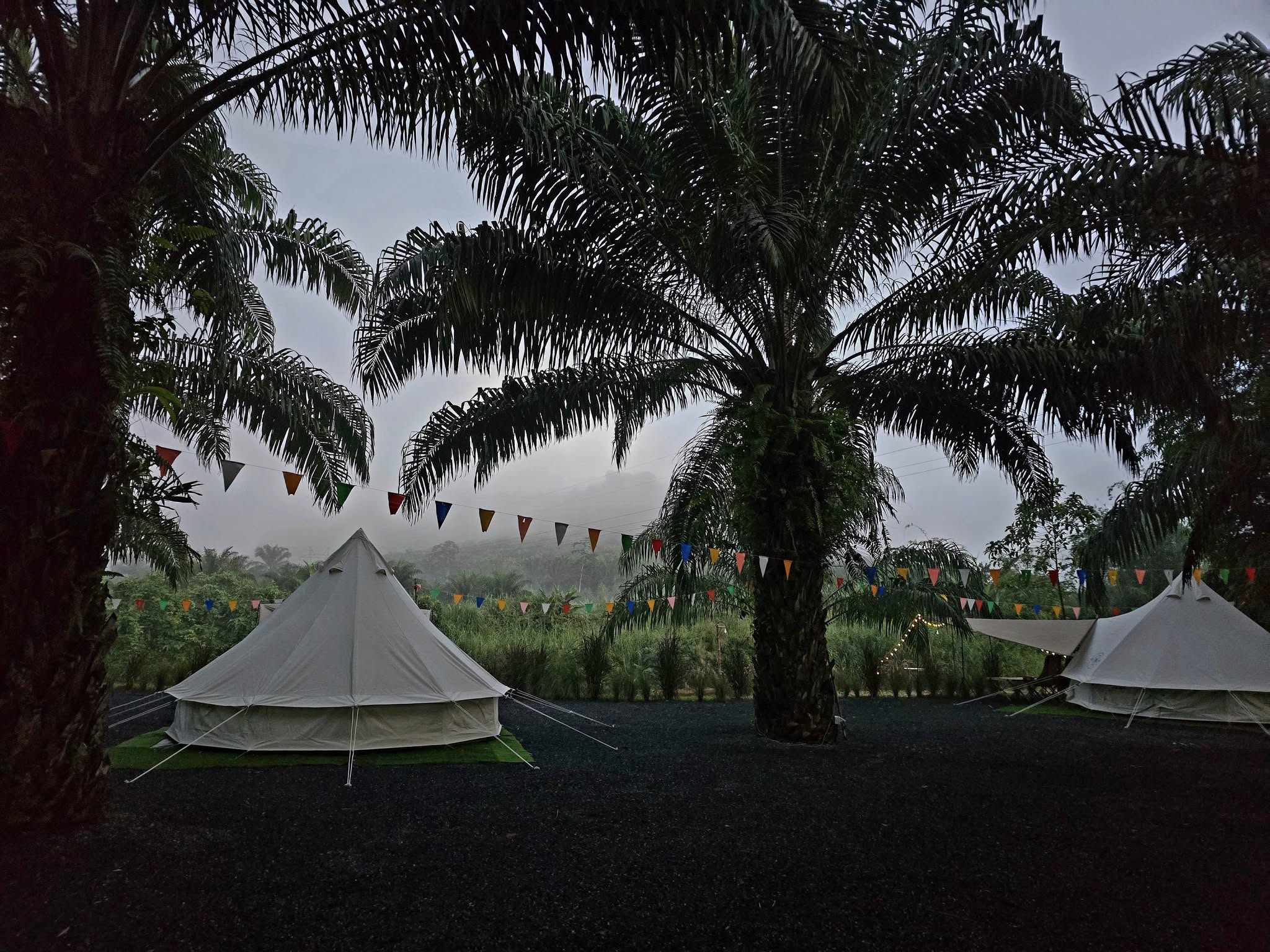 BangGan Camping ลานกางเต็นท์ พังงา 4