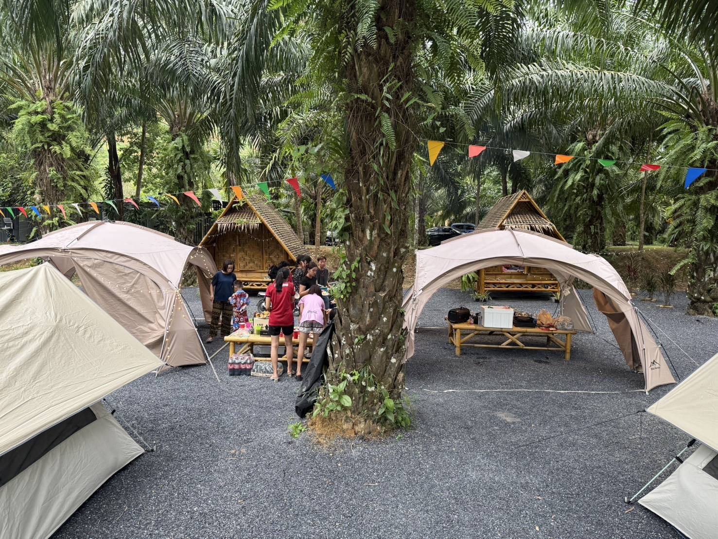 BangGan Camping ลานกางเต็นท์ พังงา 7
