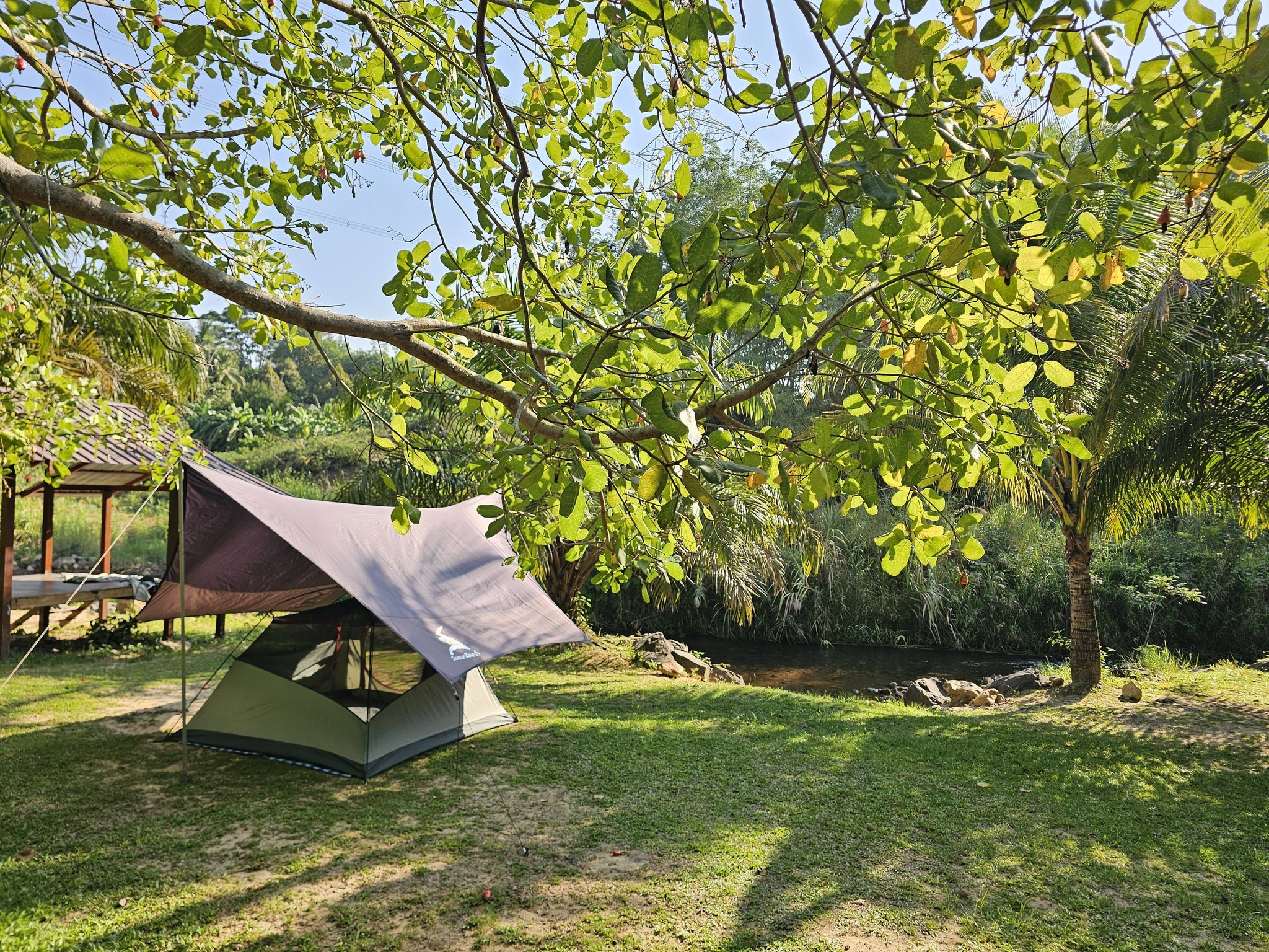 Best rafting 4U camp ลานกางเต็นท์ พังงา 1