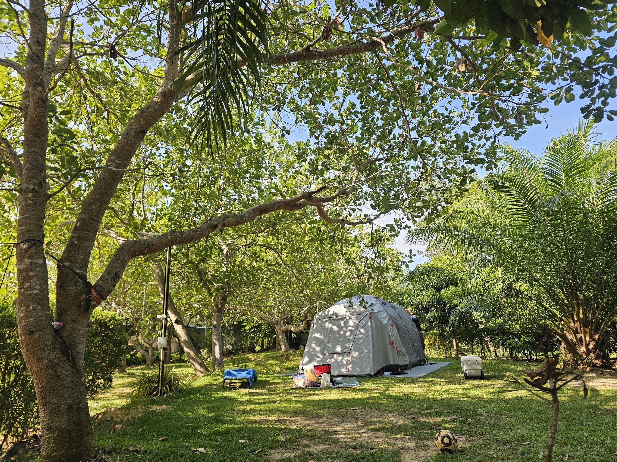 Best rafting 4U camp ลานกางเต็นท์ พังงา 2