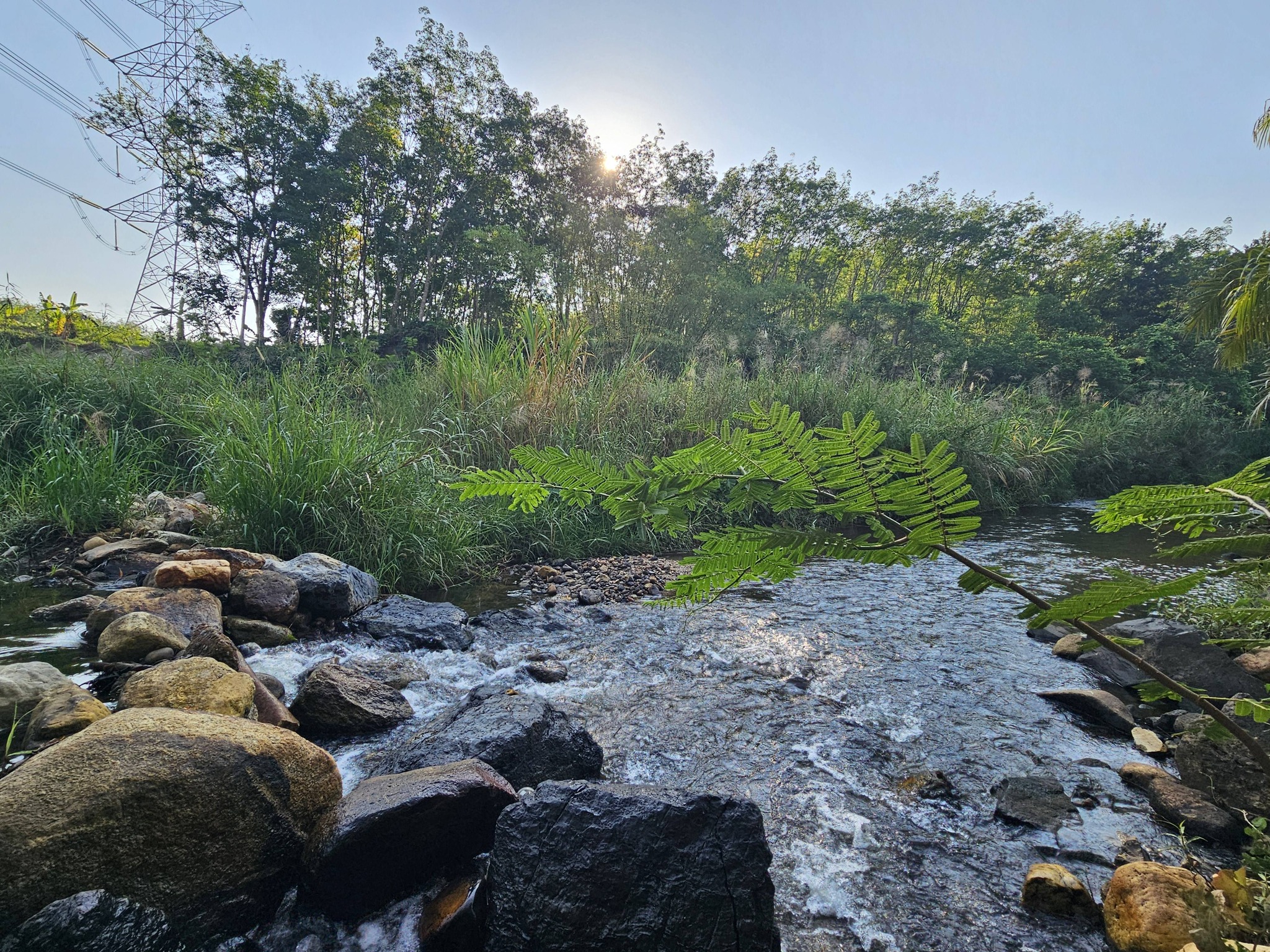 Best rafting 4U camp ลานกางเต็นท์ พังงา 3