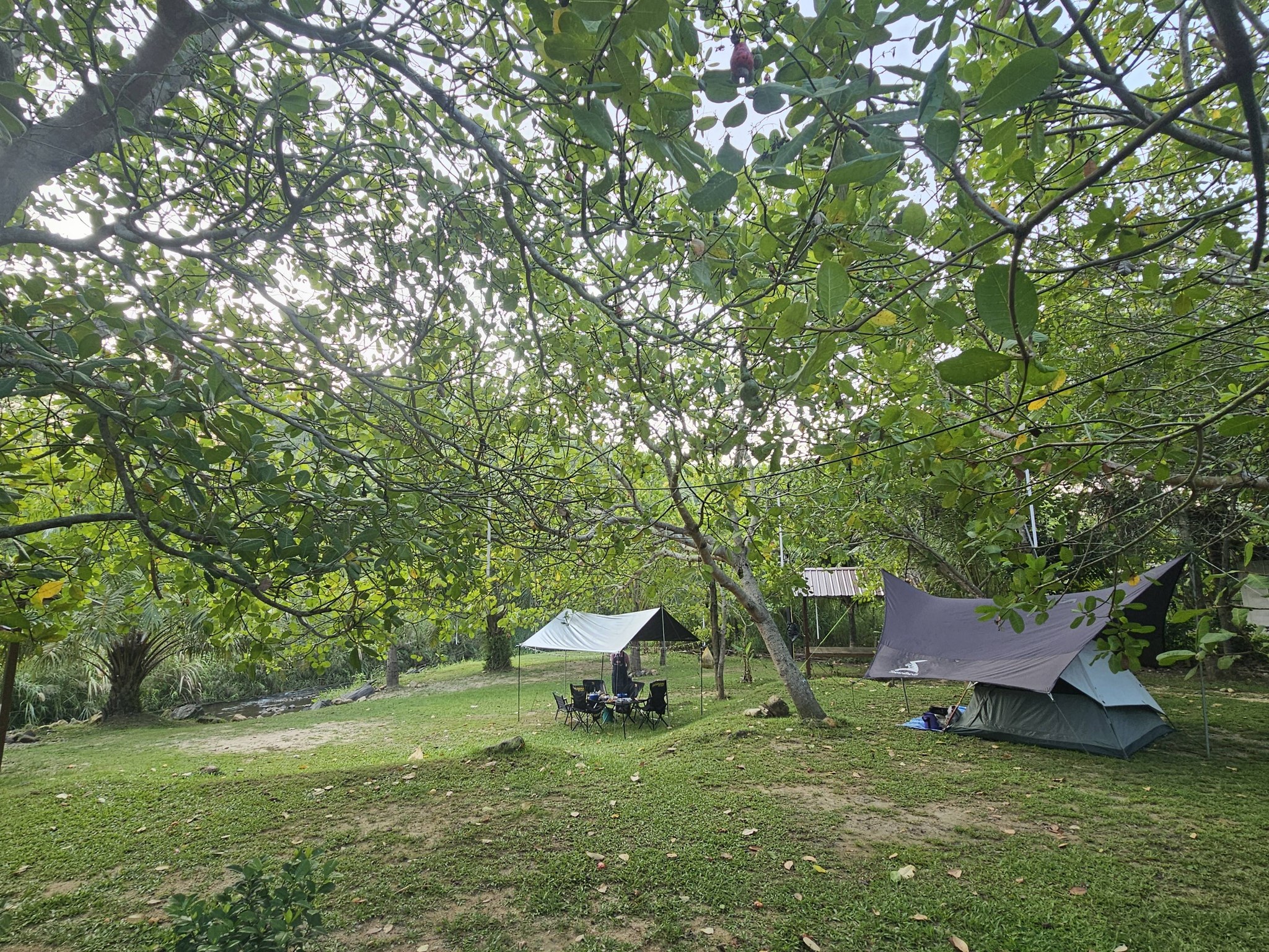 Best rafting 4U camp ลานกางเต็นท์ พังงา 4