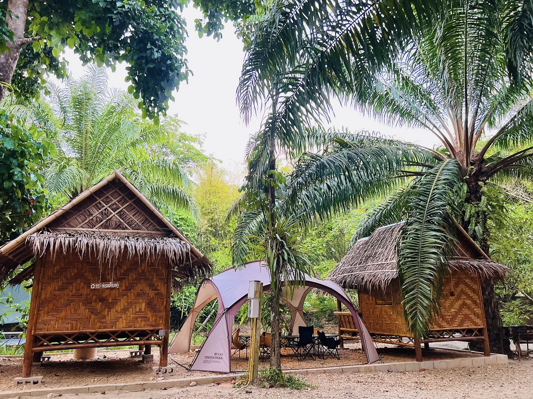 สวนหมากแคมป์ปิ้ง น้ำตกวังเคียงคู่ พังงา ลานกางเต็นท์ พังงา 1