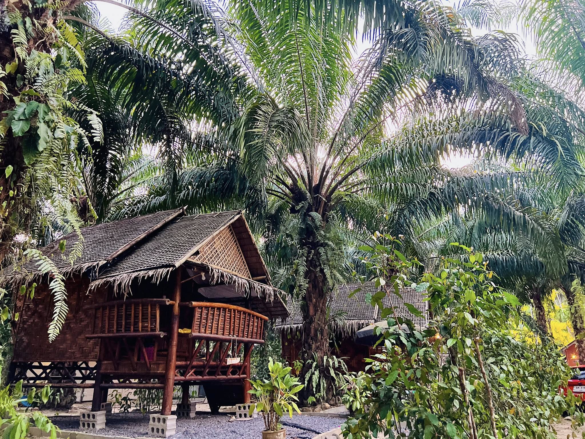 สวนหมากแคมป์ปิ้ง น้ำตกวังเคียงคู่ พังงา ลานกางเต็นท์ พังงา 2