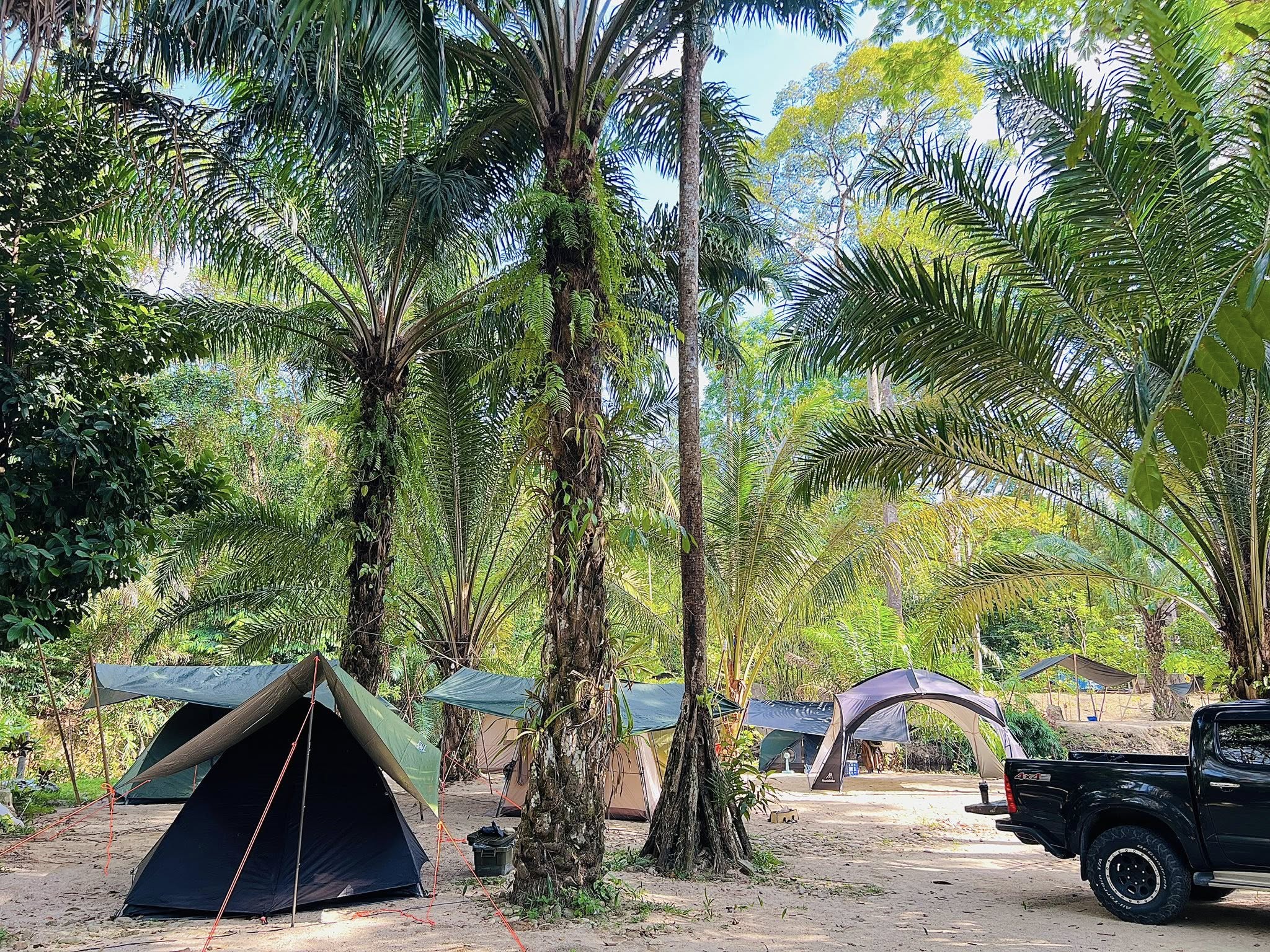 สวนหมากแคมป์ปิ้ง น้ำตกวังเคียงคู่ พังงา ลานกางเต็นท์ พังงา 7